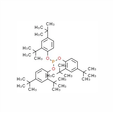 Czy przeciwutleniacze odgrywają rolę w zdrowiu kości?