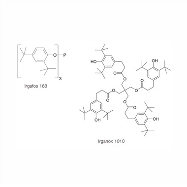 Czy jagody zawierają dużo przeciwutleniaczy?